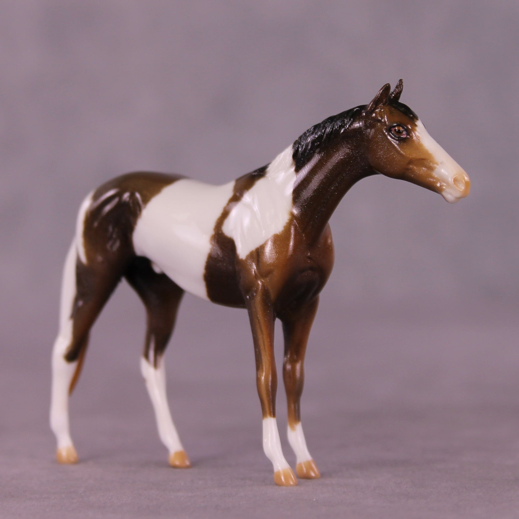 Glimmer OOAK Chip Thoroughbred  by Kike (Enrique) Duarte MM25 Group D