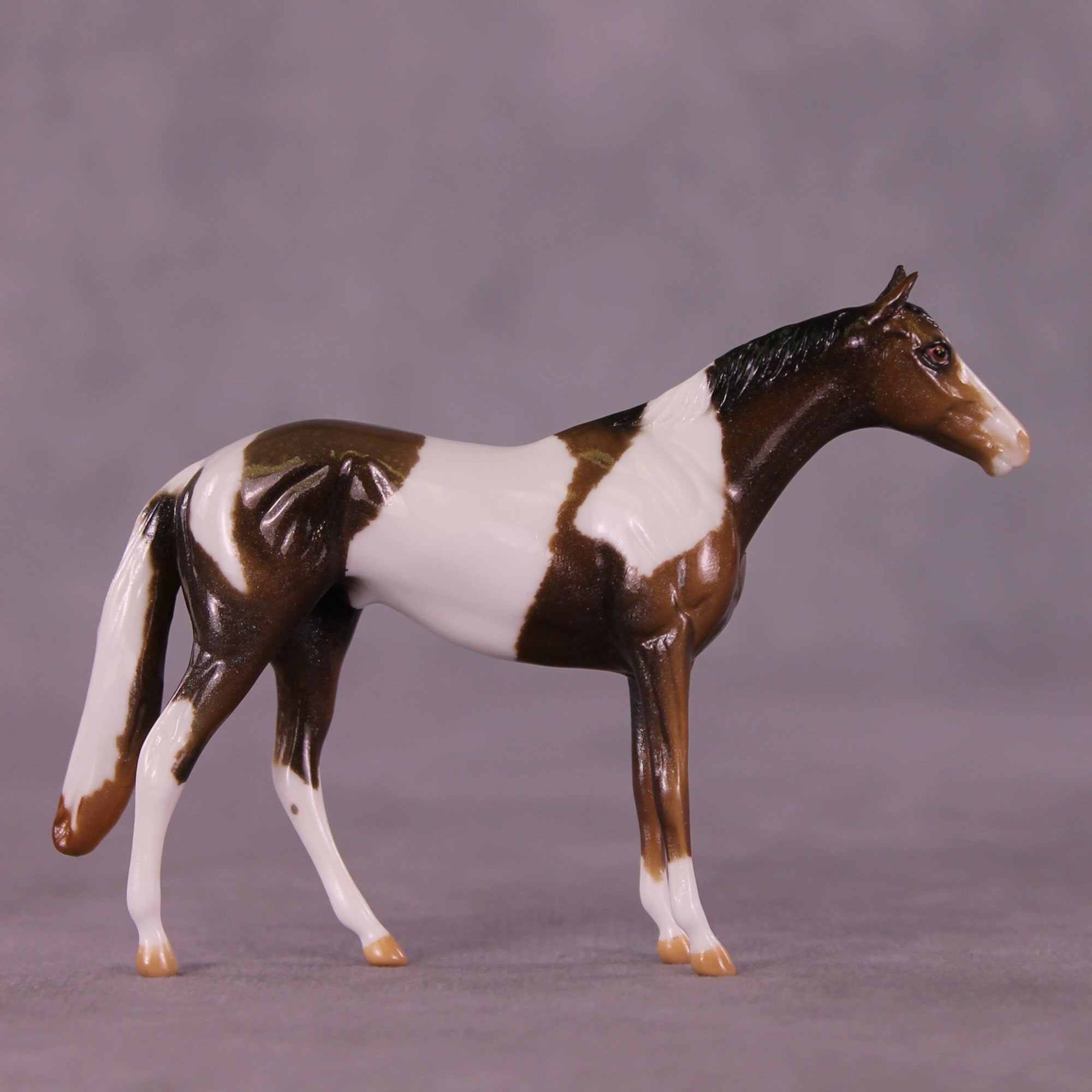 Glimmer OOAK Chip Thoroughbred  by Kike (Enrique) Duarte MM25 Group D