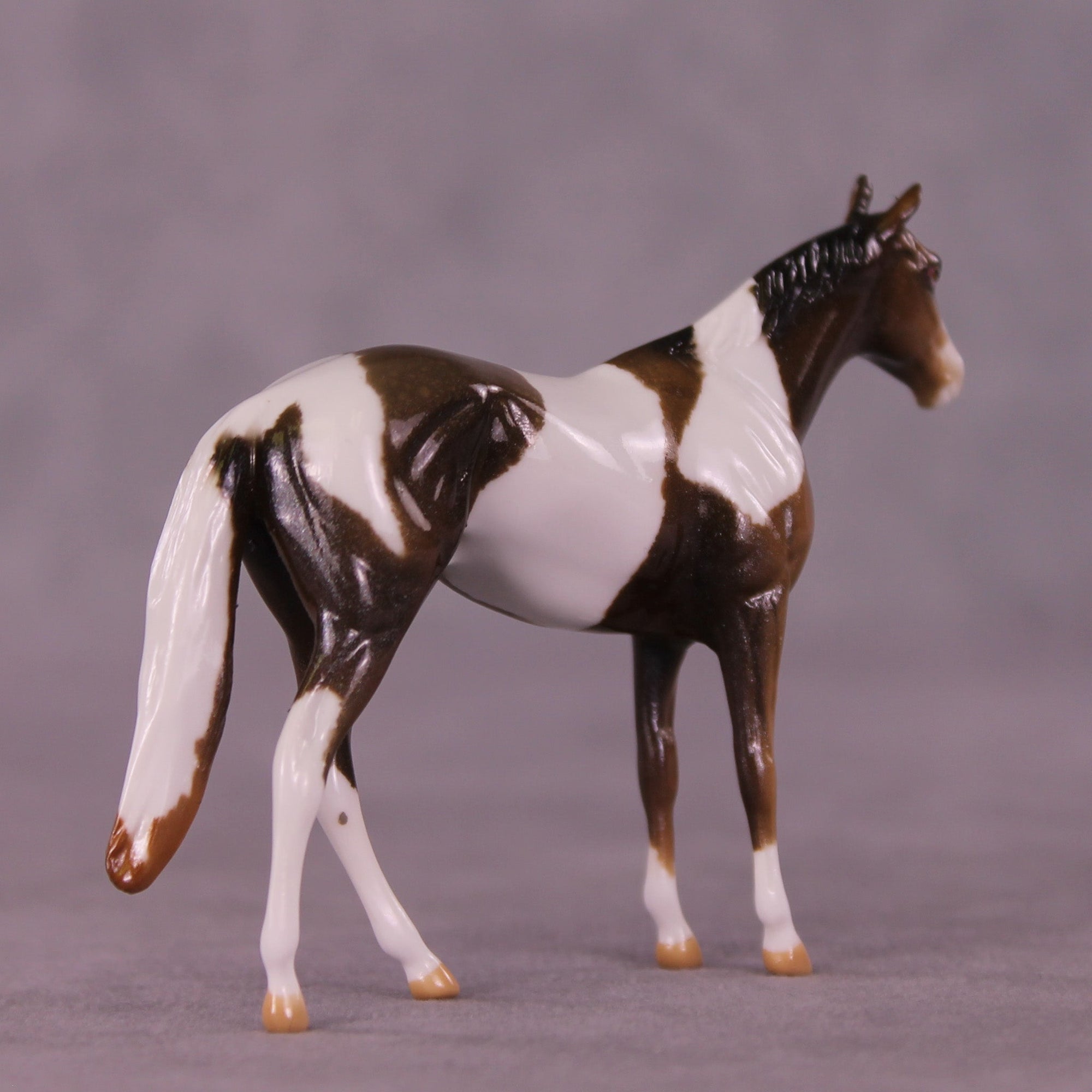 Glimmer OOAK Chip Thoroughbred  by Kike (Enrique) Duarte MM25 Group D