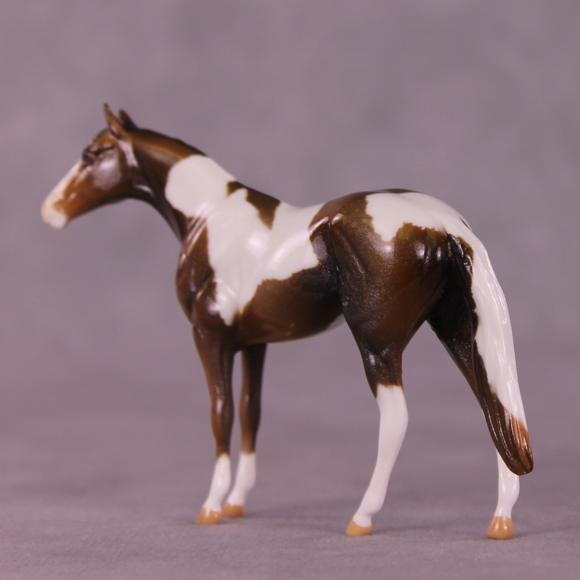 Glimmer OOAK Chip Thoroughbred  by Kike (Enrique) Duarte MM25 Group D