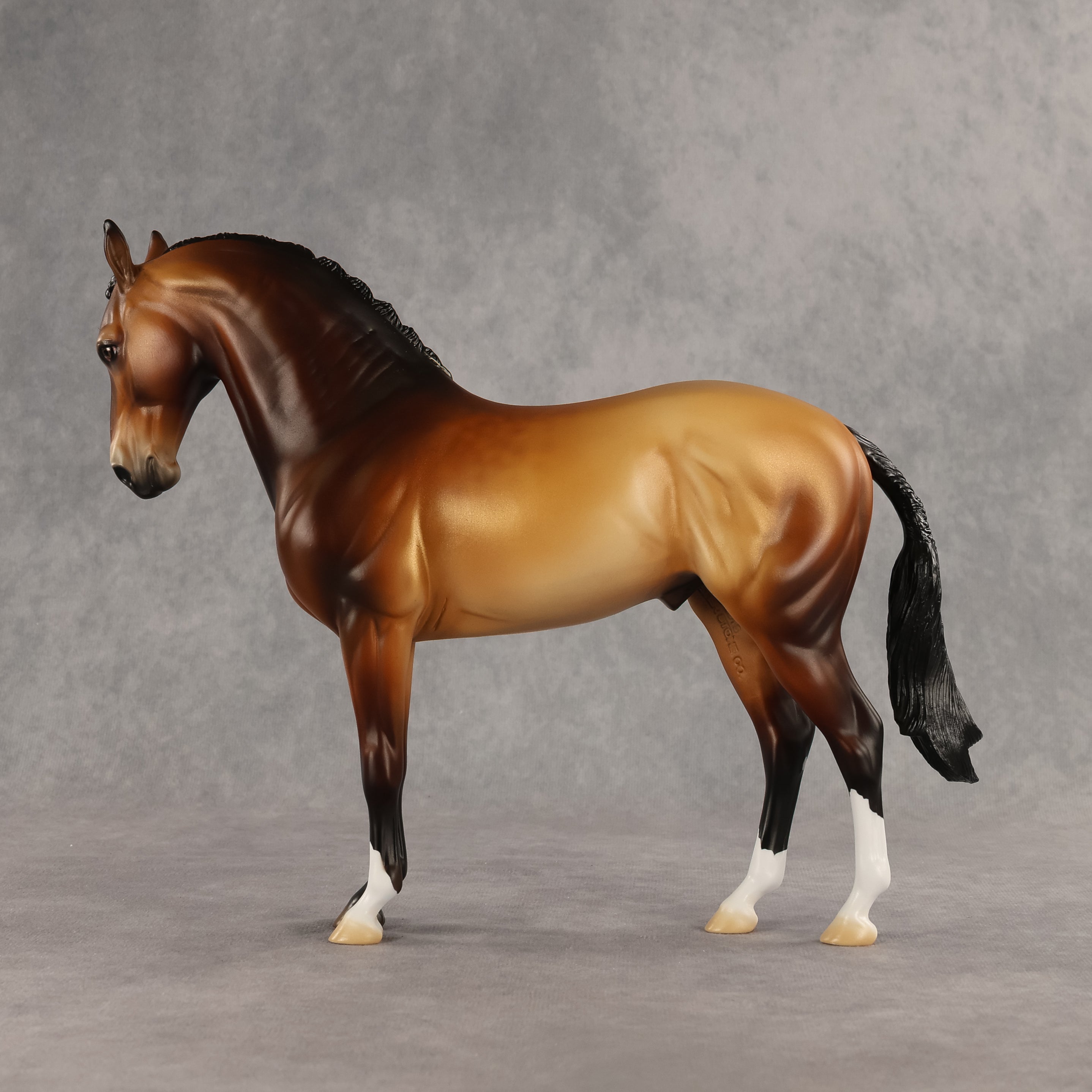 Gold Standard Prize Model LE-10 FCM Andalusian by Jess Hamill SHCF26