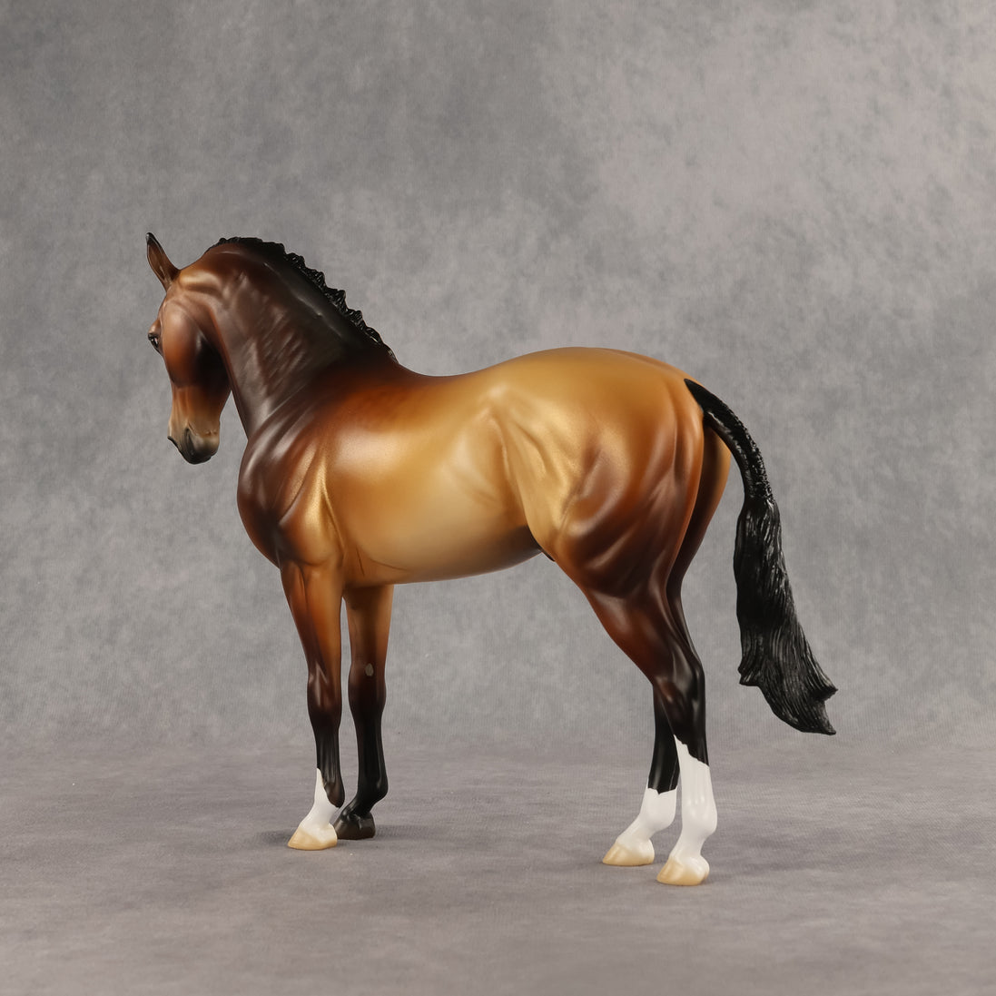 Gold Standard Prize Model LE-10 FCM Andalusian by Jess Hamill SHCF26