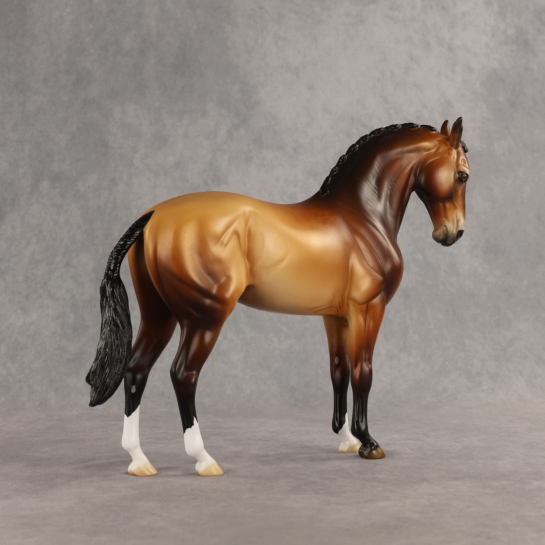 Gold Standard Prize Model LE-10 FCM Andalusian by Jess Hamill SHCF26