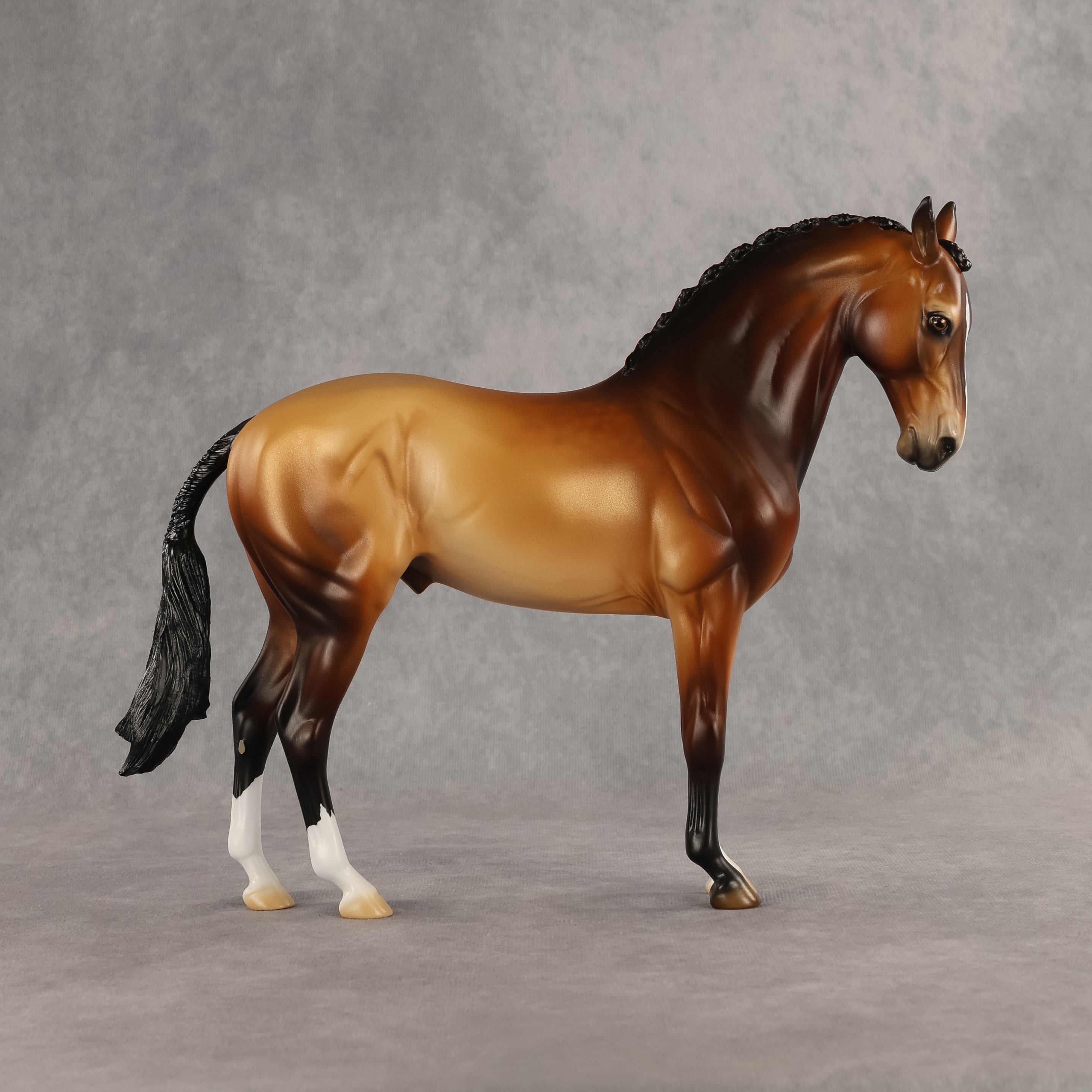 Gold Standard Prize Model LE-10 FCM Andalusian by Jess Hamill SHCF26