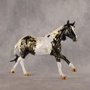 Golden Phase OOAK FCM Volo by Kristen Cermele GS26