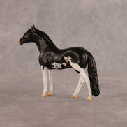 Good Gasp OOAK Chip Andalusian by Alex Fortman LHS26