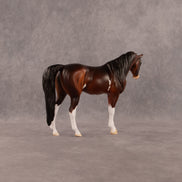 Goodflockies OOAK Pebble Arabian Mare by Dawn Quick EQ26