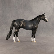Gotcha OOAK Ideal Stock Horse by Dawn Quick SHCF26