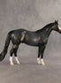 Gotcha OOAK Ideal Stock Horse by Dawn Quick SHCF26
