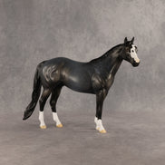 Gotcha OOAK Ideal Stock Horse by Dawn Quick SHCF26