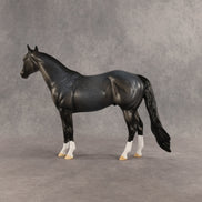 Gotcha OOAK Ideal Stock Horse by Dawn Quick SHCF26