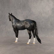 Gotcha OOAK Ideal Stock Horse by Dawn Quick SHCF26