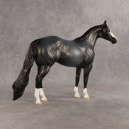 Gotcha OOAK Ideal Stock Horse by Dawn Quick SHCF26