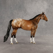 Go the Distance OOAK Ideal Stock Horse by Dawn Quick SHCF26