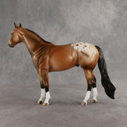 Go the Distance OOAK Ideal Stock Horse by Dawn Quick SHCF26