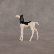 Grace OOAK Chip Foal by Madi Wiseman EQ26