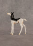 Grace OOAK Chip Foal by Madi Wiseman EQ26