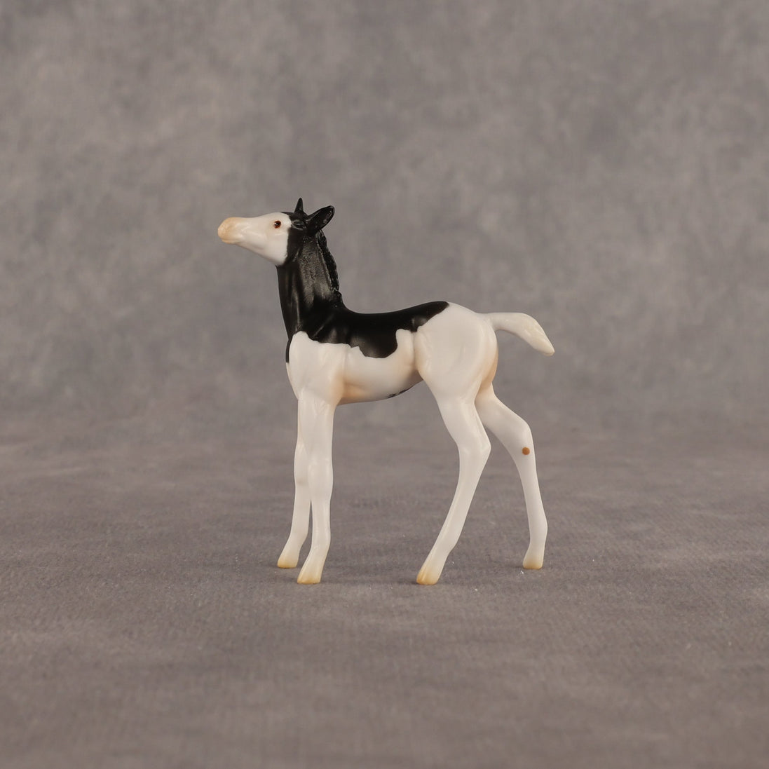 Grace OOAK Chip Foal by Madi Wiseman EQ26