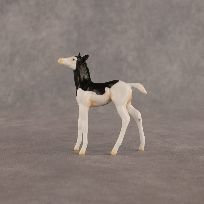 Grace OOAK Chip Foal by Madi Wiseman EQ26