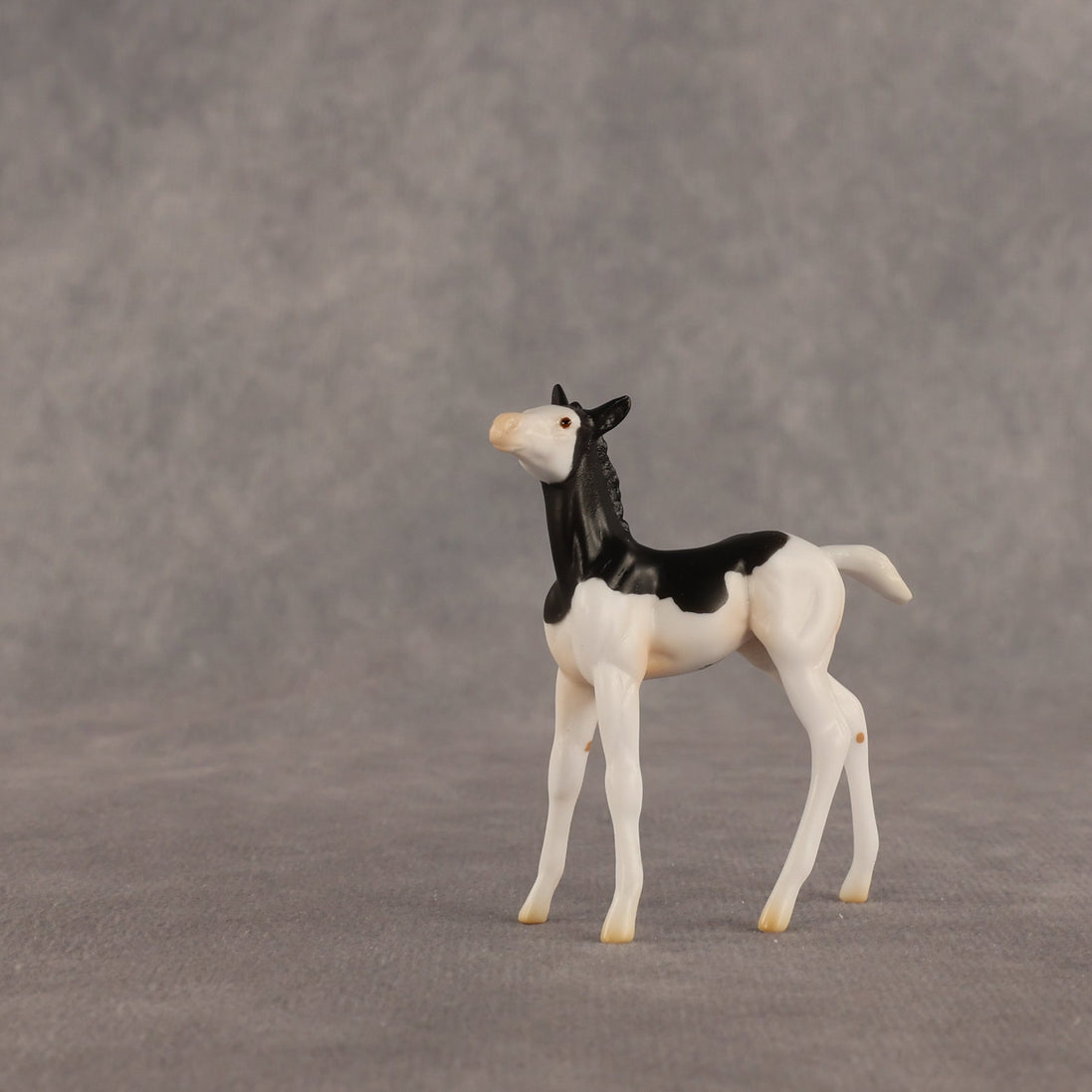 Grace OOAK Chip Foal by Madi Wiseman EQ26
