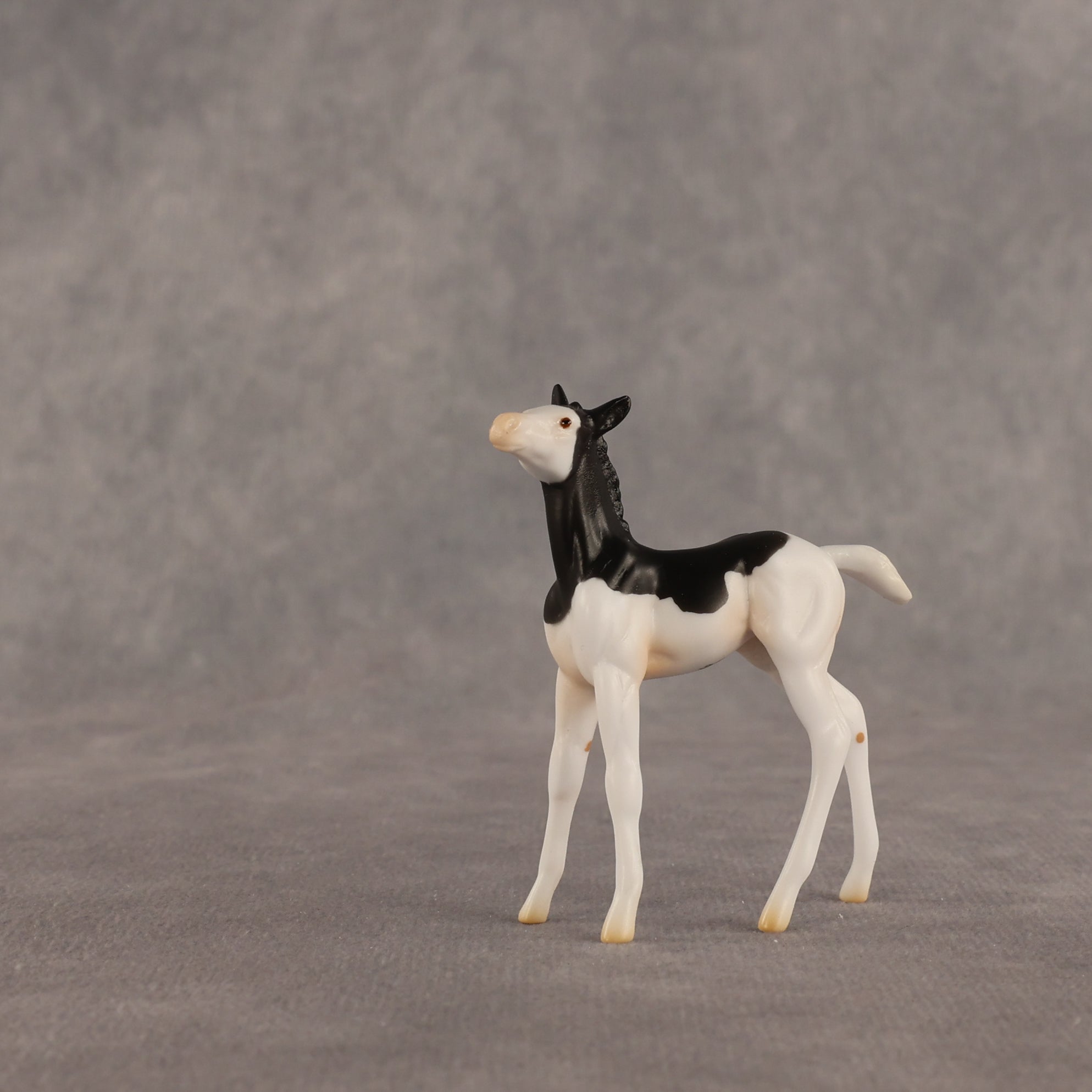 Grace OOAK Chip Foal by Madi Wiseman EQ26