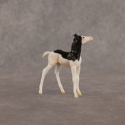 Grace OOAK Chip Foal by Madi Wiseman EQ26