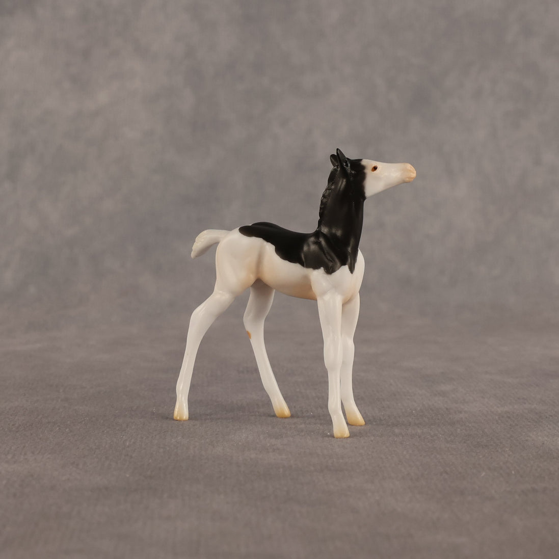 Grace OOAK Chip Foal by Madi Wiseman EQ26