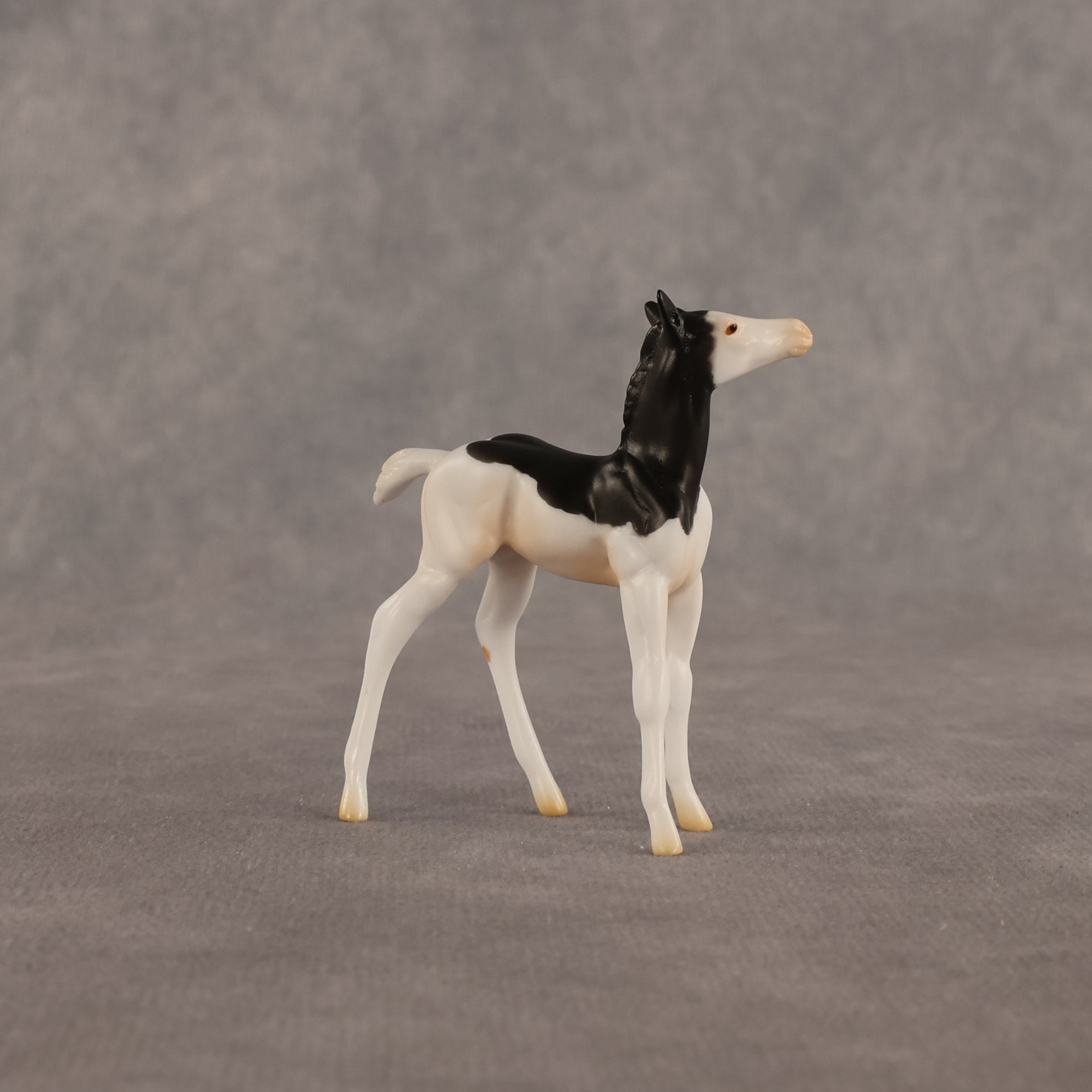 Grace OOAK Chip Foal by Madi Wiseman EQ26