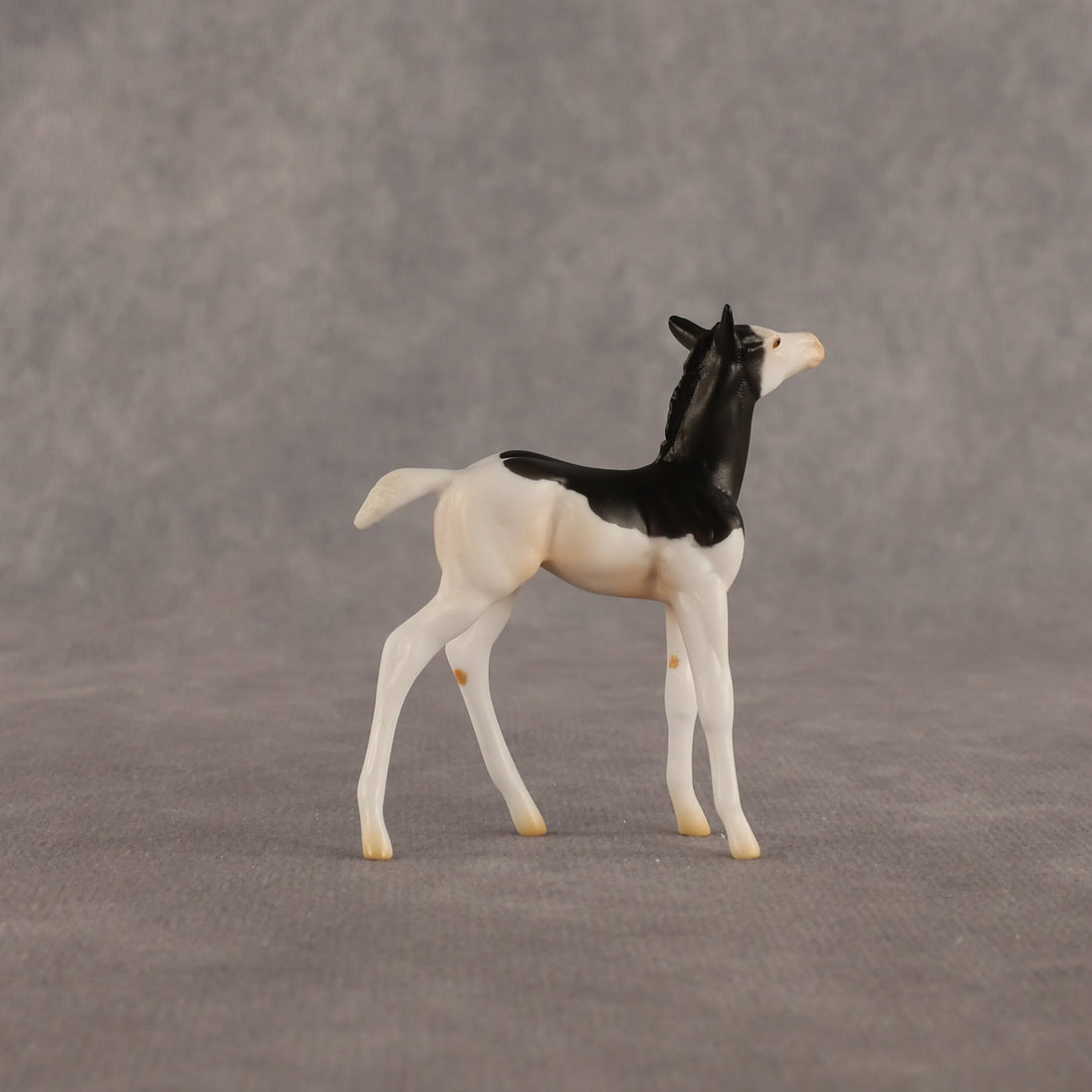 Grace OOAK Chip Foal by Madi Wiseman EQ26