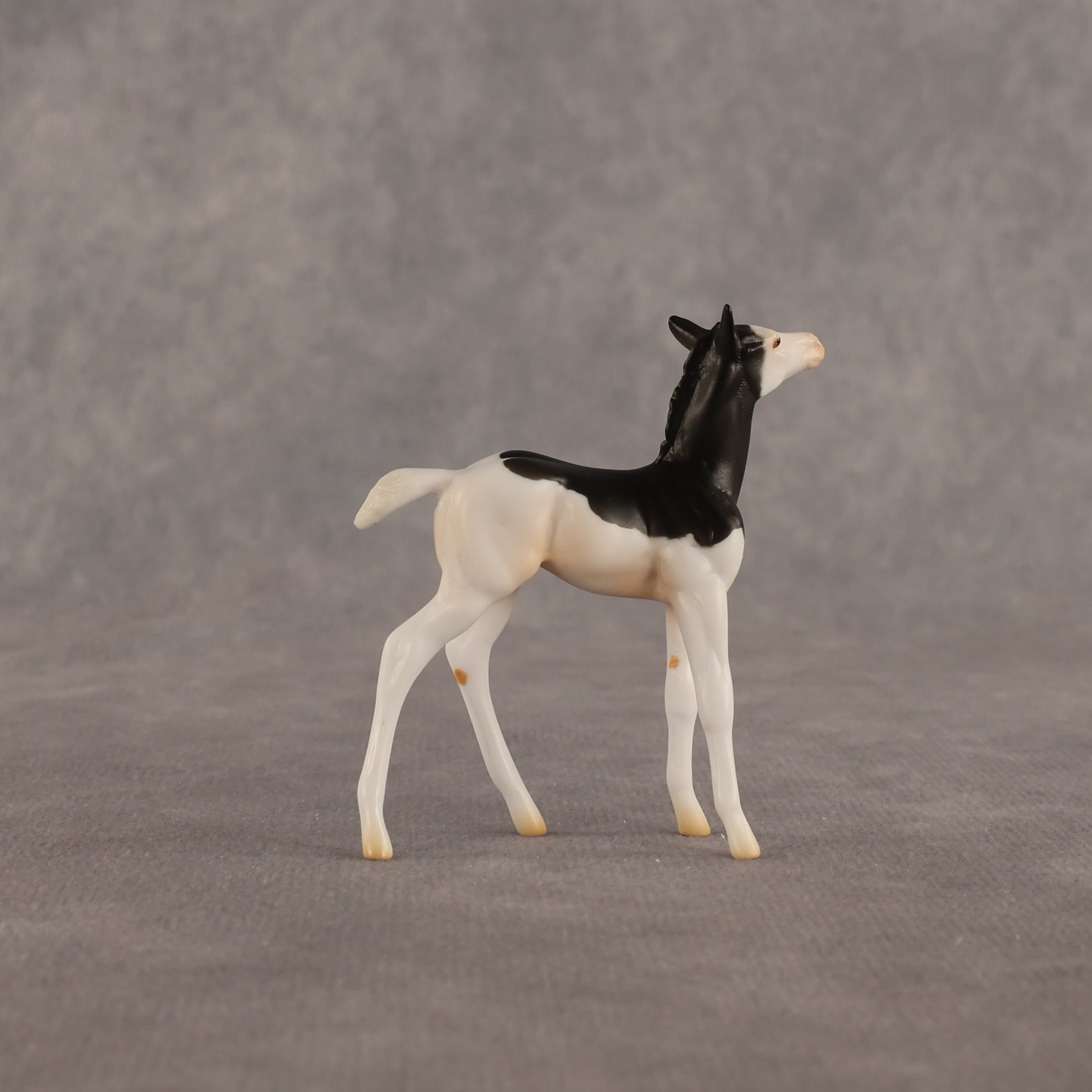 Grace OOAK Chip Foal by Madi Wiseman EQ26