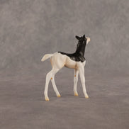 Grace OOAK Chip Foal by Madi Wiseman EQ26