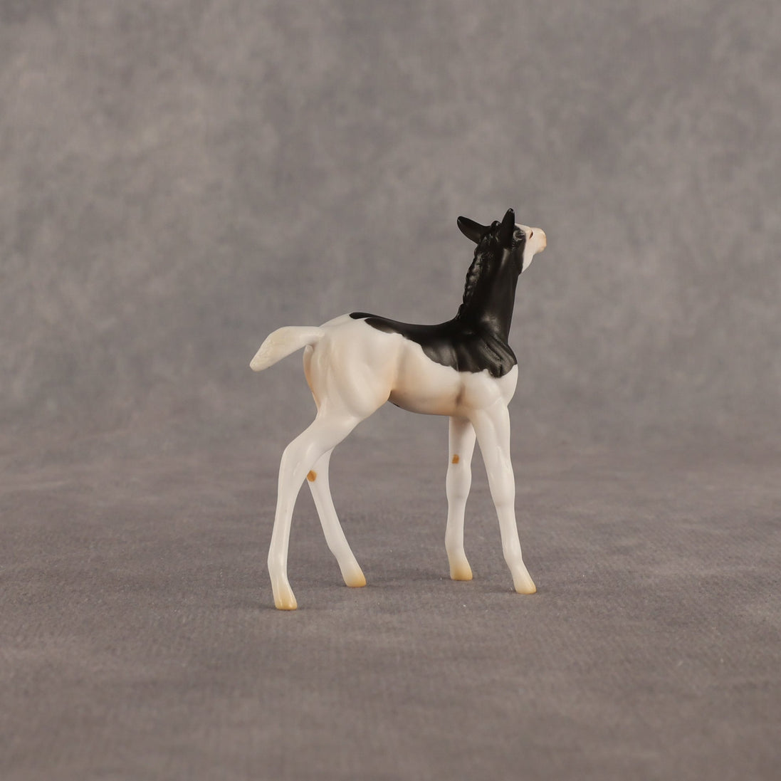 Grace OOAK Chip Foal by Madi Wiseman EQ26