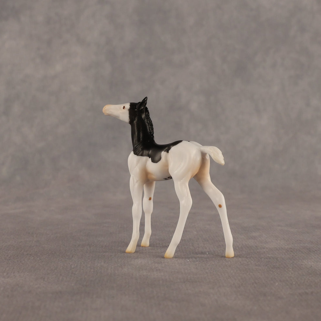 Grace OOAK Chip Foal by Madi Wiseman EQ26