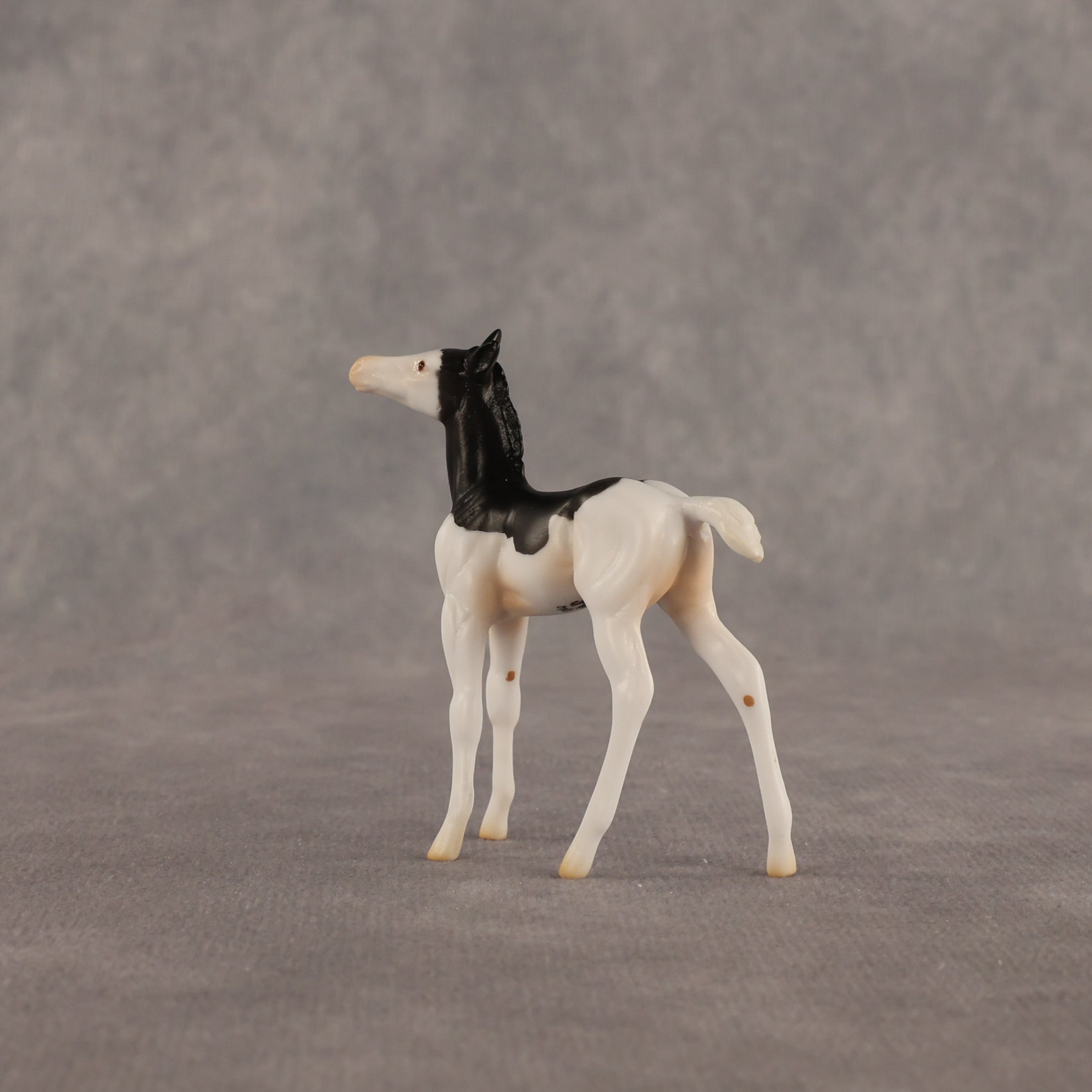 Grace OOAK Chip Foal by Madi Wiseman EQ26