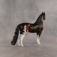 Grande OOAK Morgan by Dawn Quick SHCF26