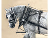 Grandpa&#39;s Grey SAMPLE Fleabitten Grey Custom Heavy Draft Mare By Julie Keim Based Off Of Artwork From Lynn Cassels-Caldwell SS1024