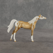 Granola OOAK Chip Arabian by Dawn Quick SHCF26