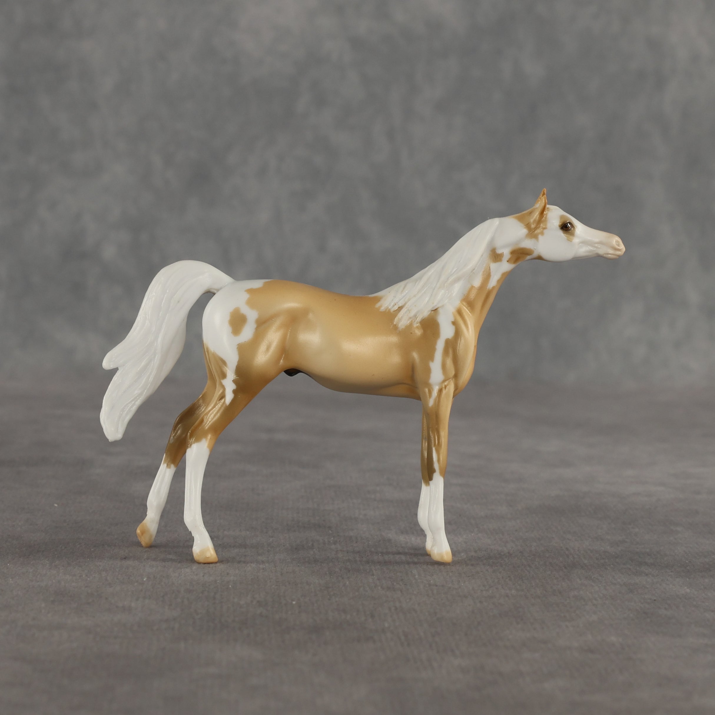 Granola OOAK Chip Arabian by Dawn Quick SHCF26