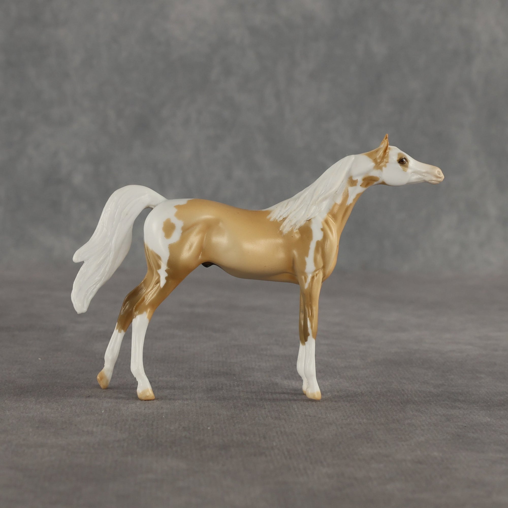 Granola OOAK Chip Arabian by Dawn Quick SHCF26