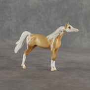 Granola OOAK Chip Arabian by Dawn Quick SHCF26