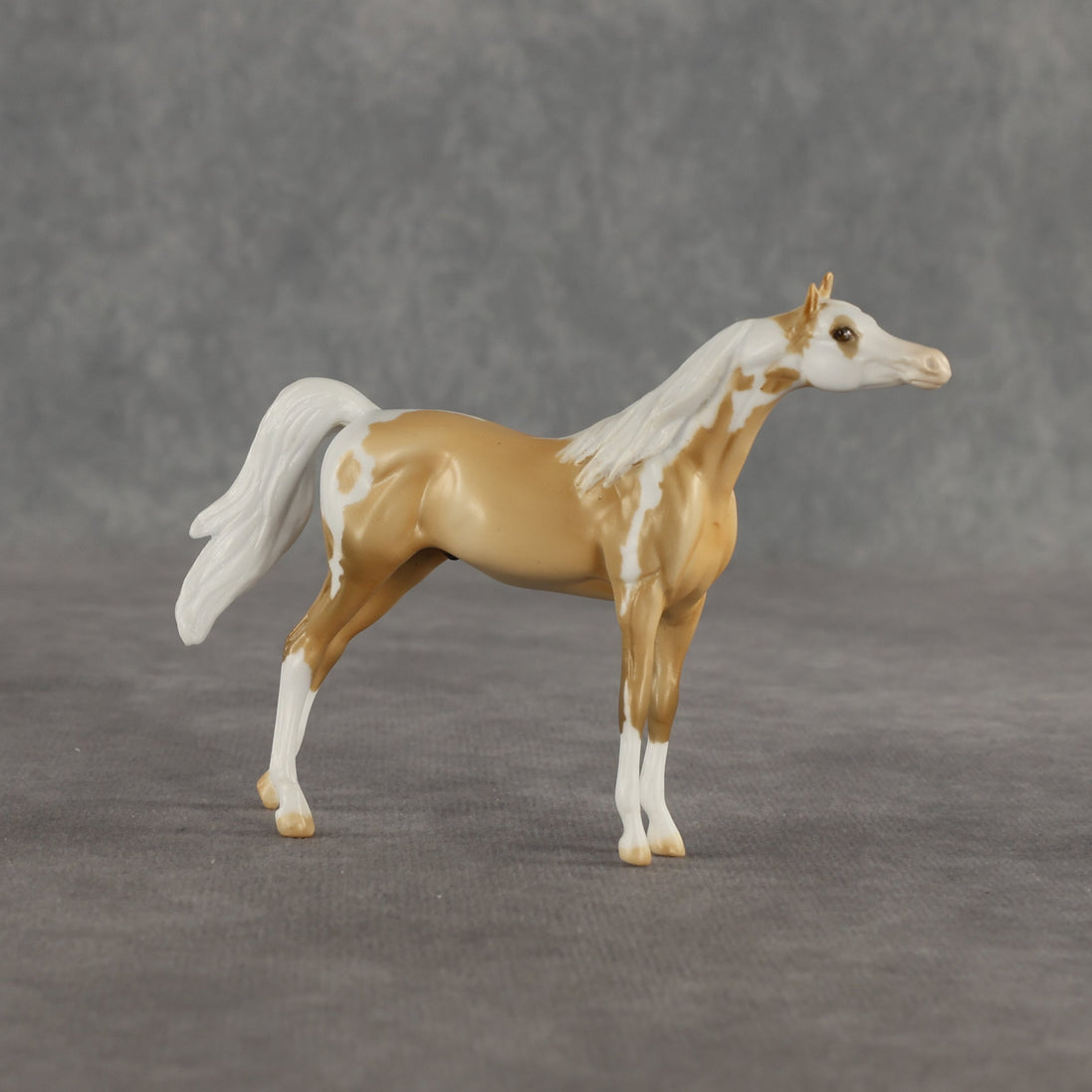 Granola OOAK Chip Arabian by Dawn Quick SHCF26