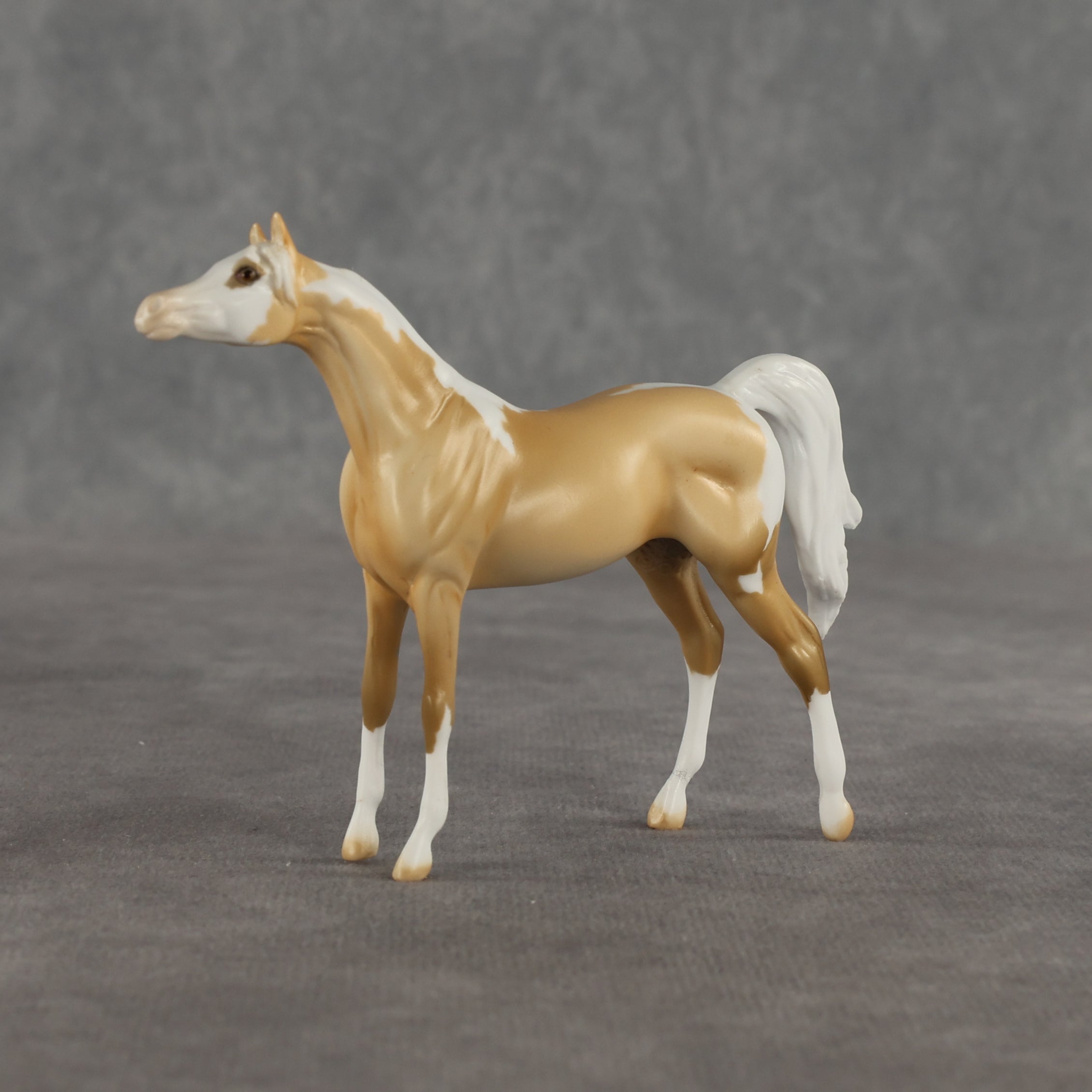 Granola OOAK Chip Arabian by Dawn Quick SHCF26