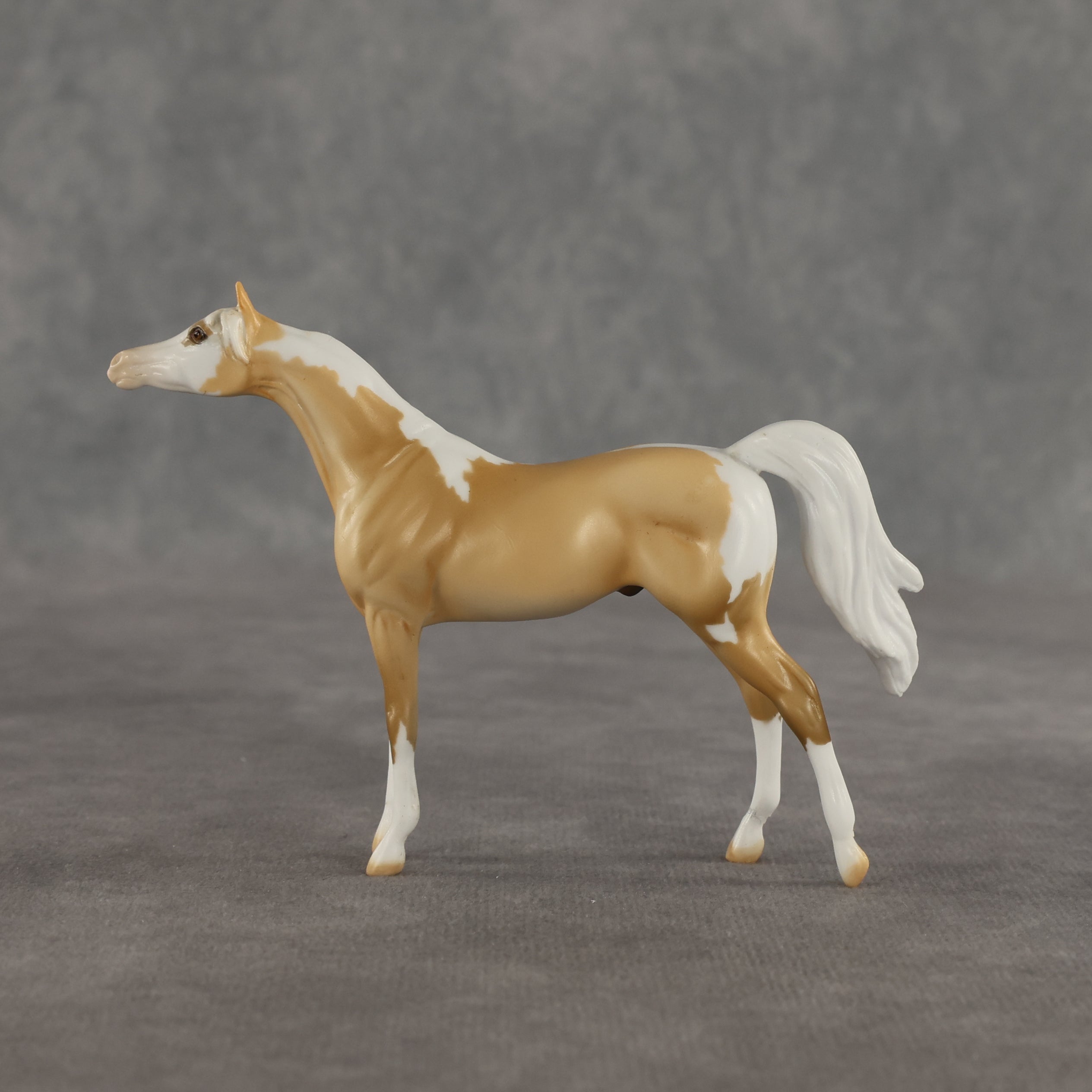 Granola OOAK Chip Arabian by Dawn Quick SHCF26
