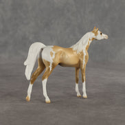 Granola OOAK Chip Arabian by Dawn Quick SHCF26