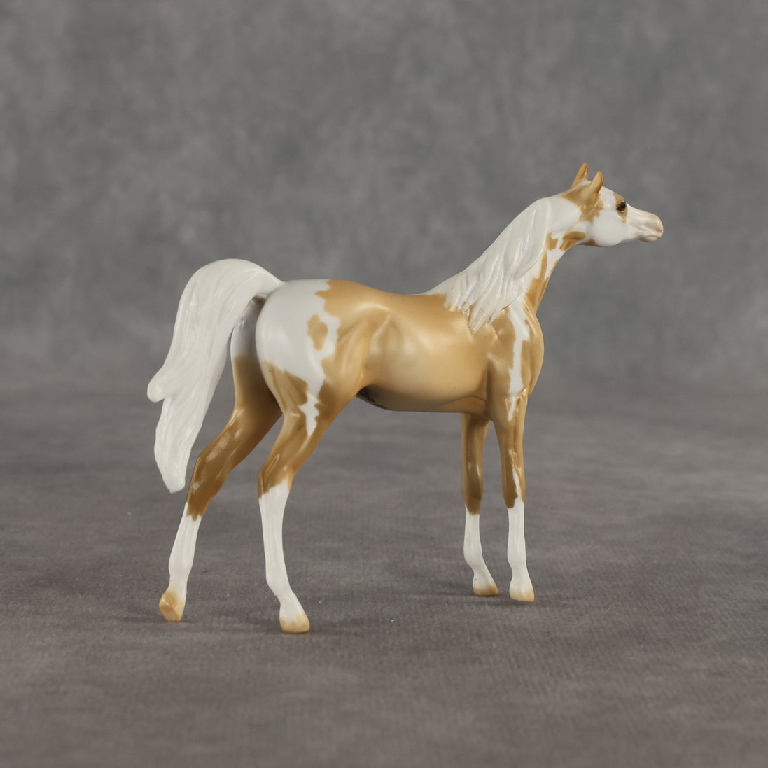 Granola OOAK Chip Arabian by Dawn Quick SHCF26