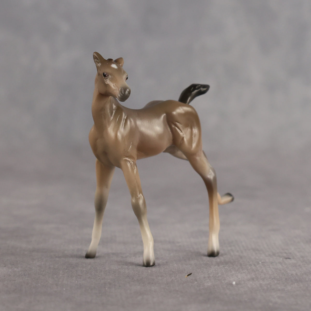 Greta OOAK EFCM Chip Foal by Angela Marleau MM26