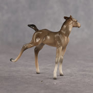 Greta OOAK EFCM Chip Foal by Angela Marleau MM26