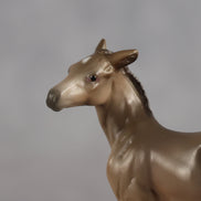 Greta OOAK EFCM Chip Foal by Angela Marleau MM26