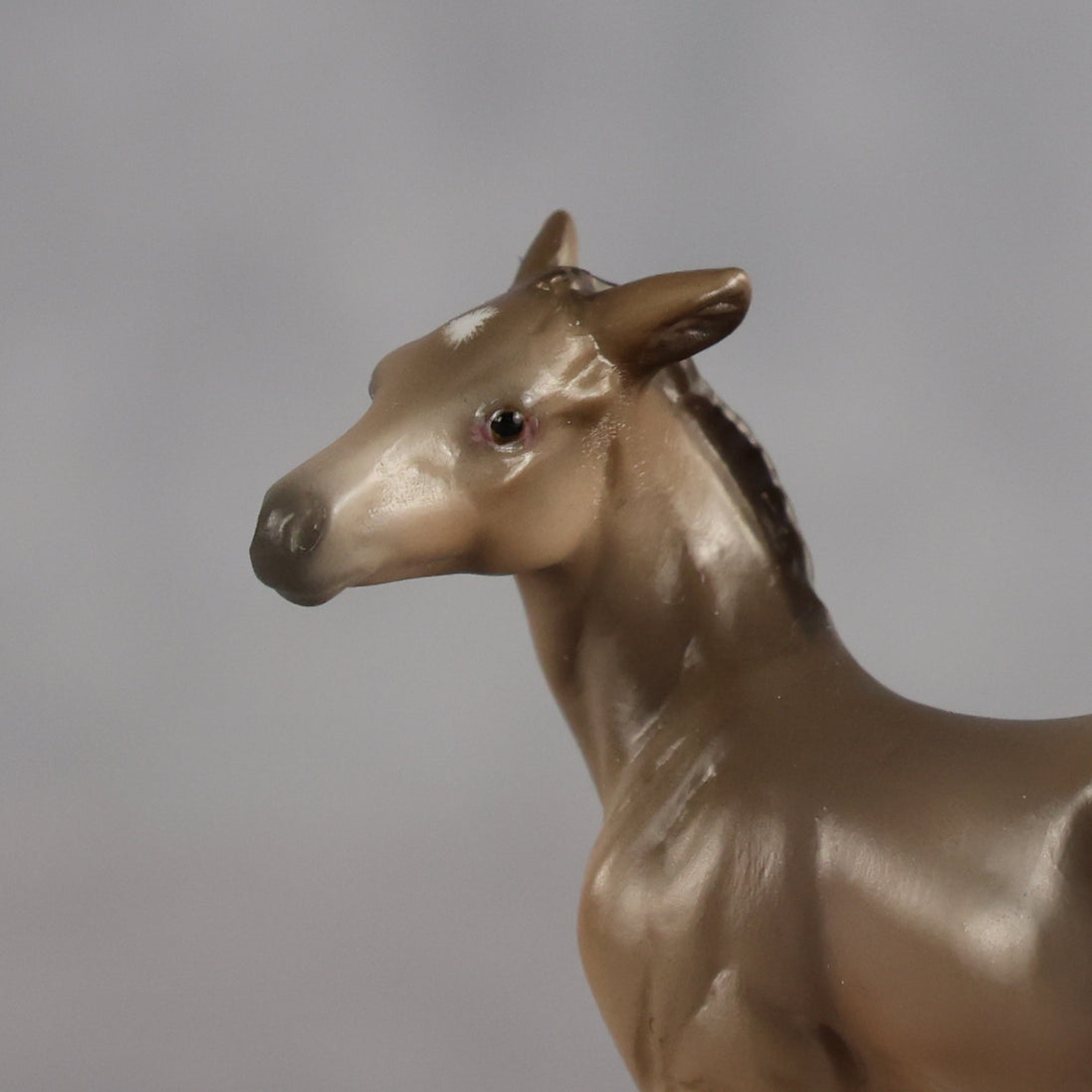 Greta OOAK EFCM Chip Foal by Angela Marleau MM26