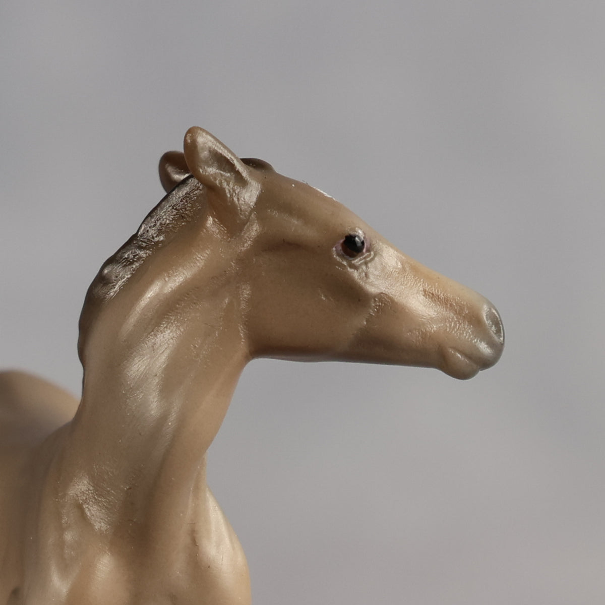 Greta OOAK EFCM Chip Foal by Angela Marleau MM26